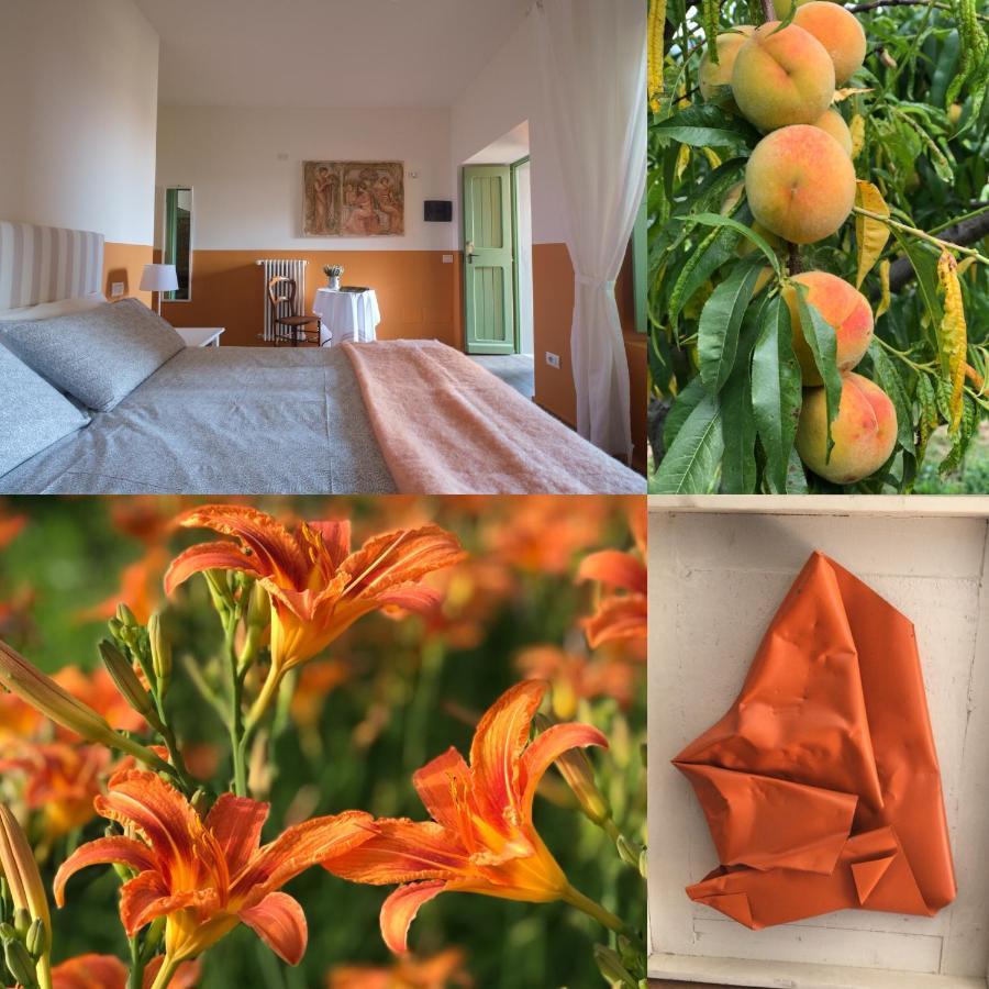 Agriturismo Il Belvedere Palazzago Εξωτερικό φωτογραφία